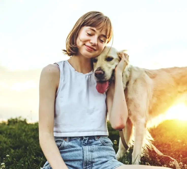 A Portrait of teenage girl petting golden retriever outside in sunset